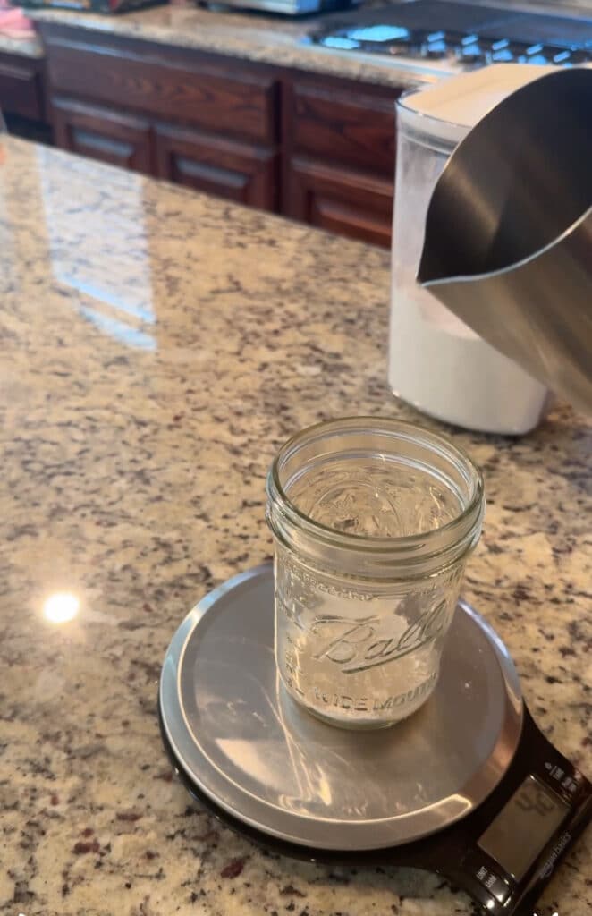 dehydrated sourdough starter