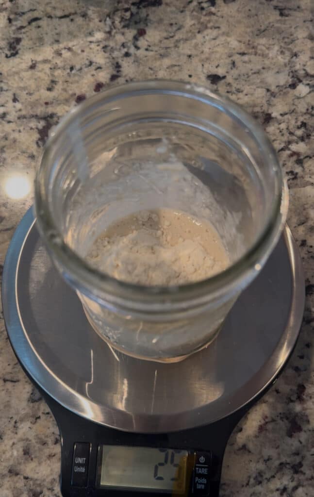dehydrated sourdough starter