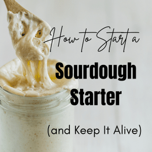 sourdough starter
