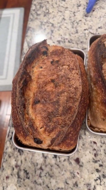 Cinnamon brown sugar raisin sourdough