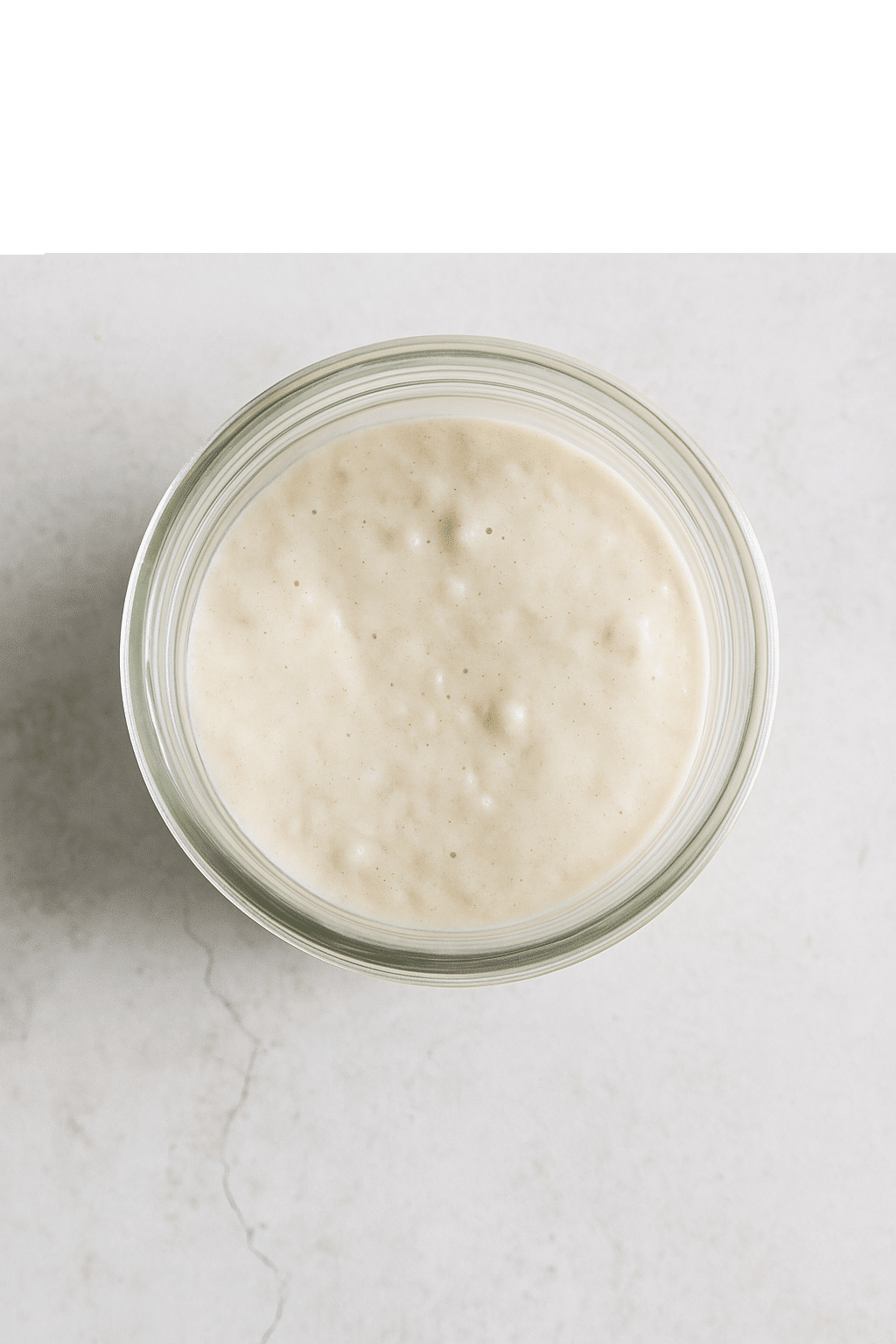 sourdough starter