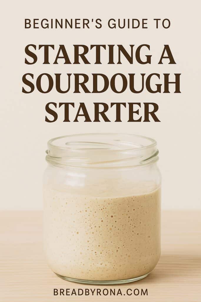 sourdough-starter