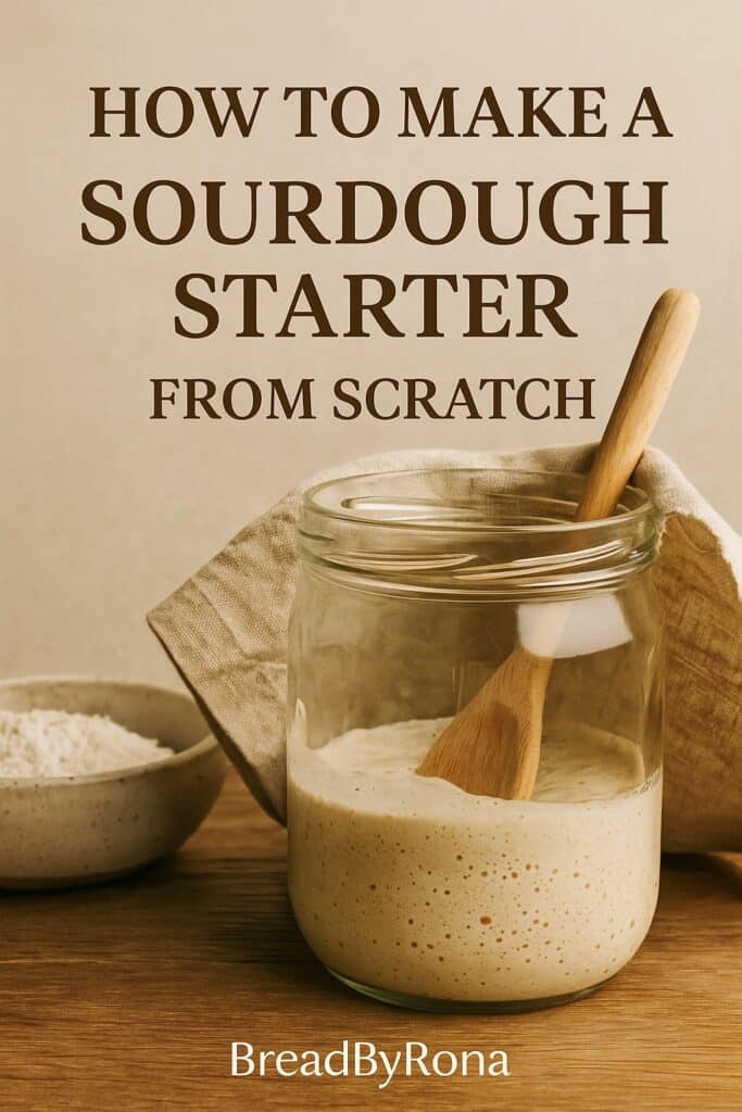 sourdough-starter