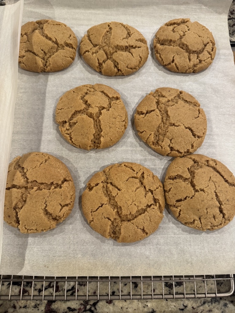 sourdough sugar cookies