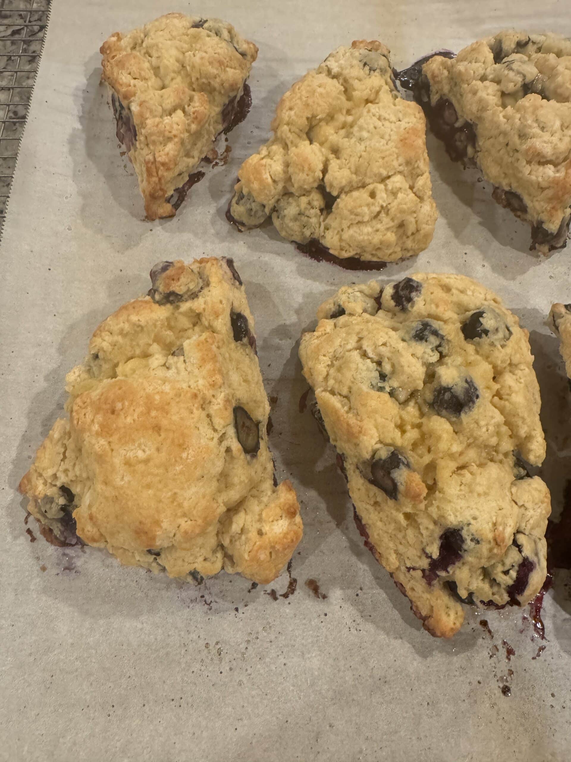 sourdough lemon blueberry scones