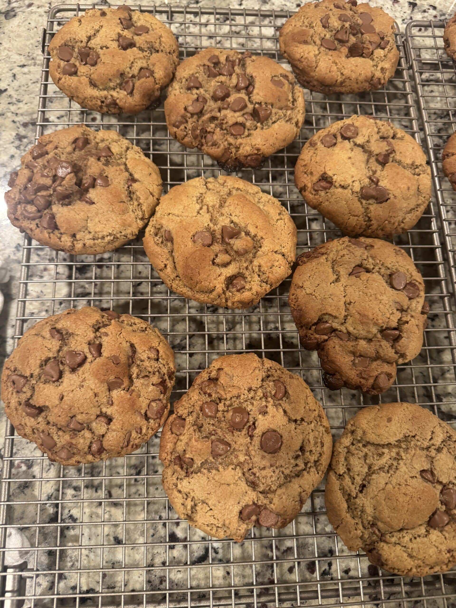 sourdough chocolate chip cookies